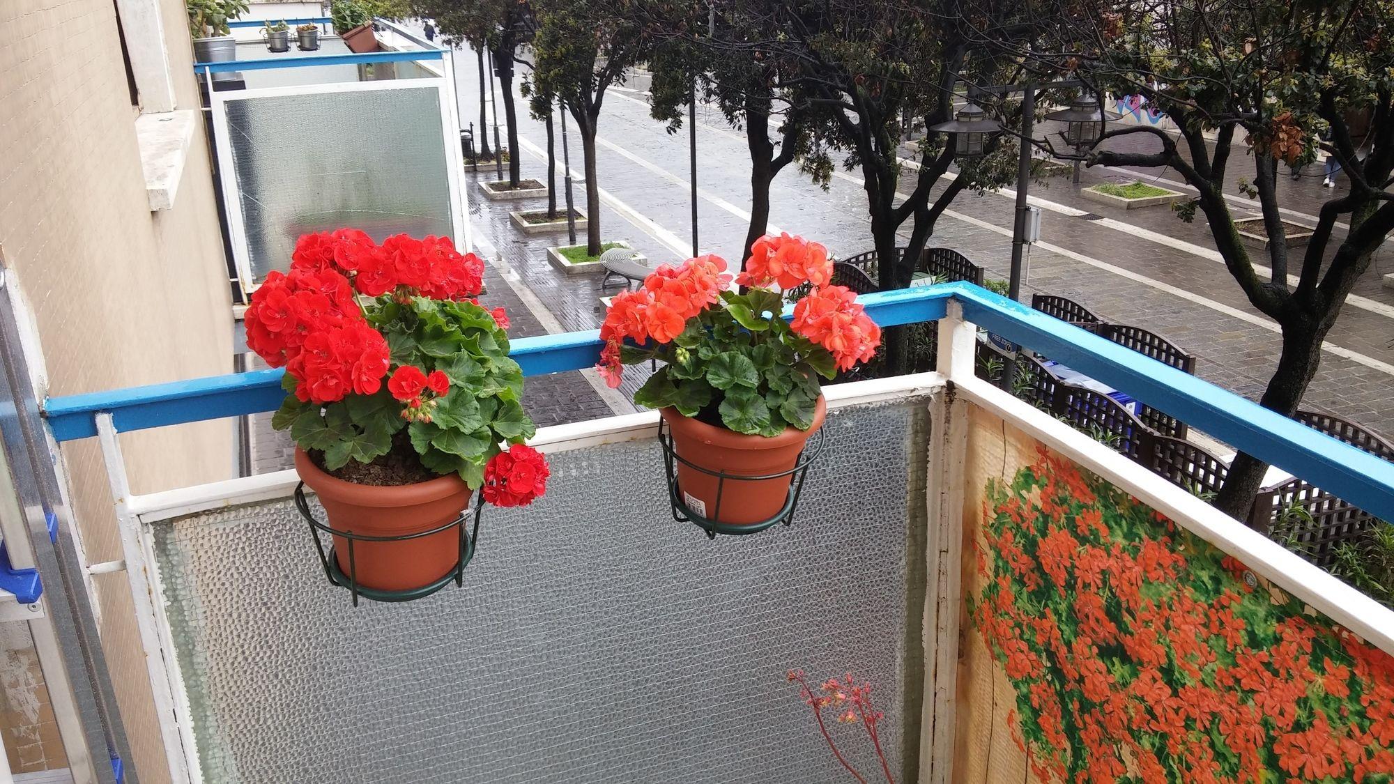 Bed & Breakfast Elisir 3*